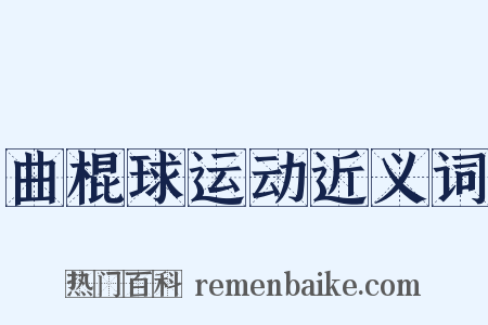 曲棍球运动近义词是什么意思的图片